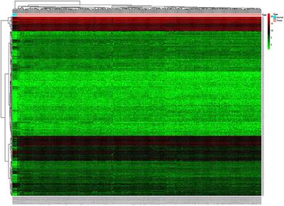 A Five-microRNA Signature as Prognostic Biomarker in Colorectal Cancer by Bioinformatics Analysis